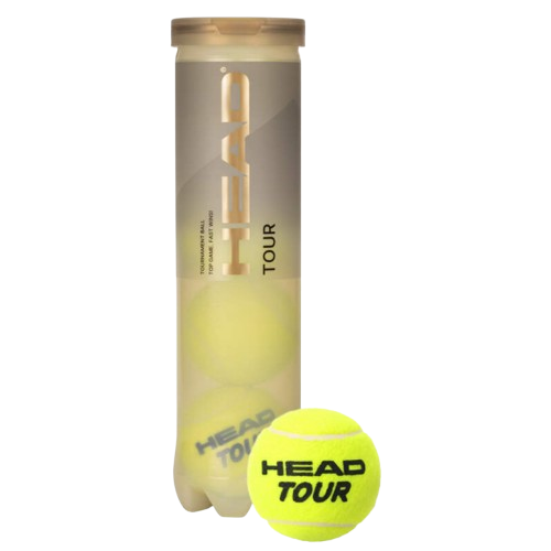 head tour 4b